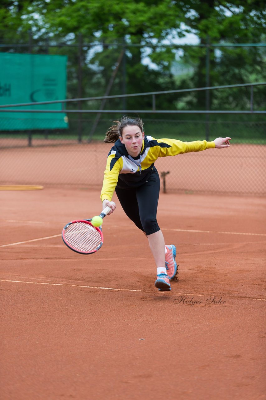 Bild 215 - NL VfL Westercelle - SVE Wiefelstede : Ergebnis: 8:1